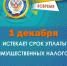 1 декабря - срок уплаты имущественных налогов - Балтачевский район