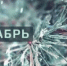 План мероприятий в Балтачевском районе Республики Башкортостан на декабрь 2025 года - Балтачевский район